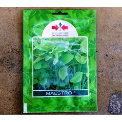 Bayam MAESTRO 50g Bayam MAESTRO 50g