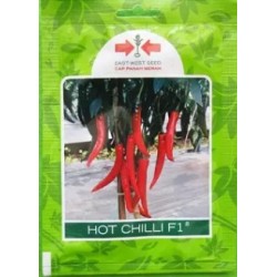 Cabe Merah Hot Chilli F1 125s Cabe Merah Hot Chilli F1 125s