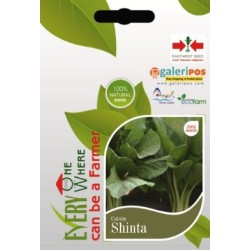 Caisim Shinta Caisim Shinta