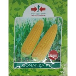 Jagung Manis Bonanza F1 200 biji Jagung Manis Bonanza F1 200 biji