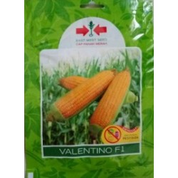 Jagung Manis Valentino F1 200s Jagung Manis Valentino F1 200s