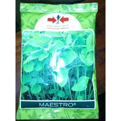 Bayam MAESTRO 500g Bayam MAESTRO 500g