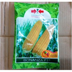 Jagung Manis Bonanza F1 200g Jagung Manis Bonanza F1 200g