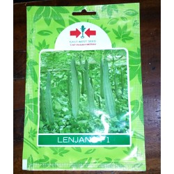 Oyong / Gambas LENJANG F1 Oyong / Gambas LENJANG F1