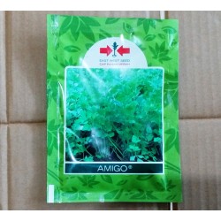 Seledri AMIGO 10.000s Seledri AMIGO 10.000s