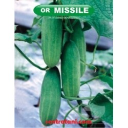 Timun Misile 10g Timun Misile 10g