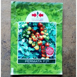 Tomat Permata F1 1.750s Tomat Permata F1 1.750s
