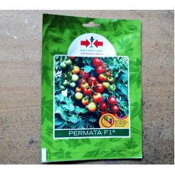 Tomat Permata F1 150s Tomat Permata F1 150s