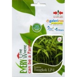 Kangkung Bangkok LP-1 Kangkung Bangkok LP-1