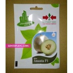 Melon Amanta F1 15s Melon Amanta F1 15s