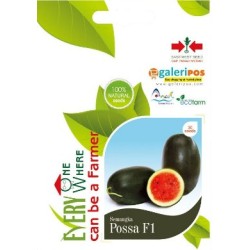 Semangka Possa F1 Semangka Possa F1