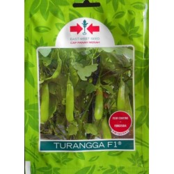 Terong TURANGGA F1 1100 biji Terong TURANGGA F1 1100 biji