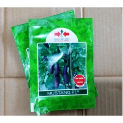 Terong Mustang F1 1.100s Terong Mustang F1 1.100s