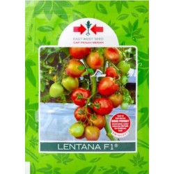 Tomat Lentana F1 1.750s Tomat Lentana F1 1.750s