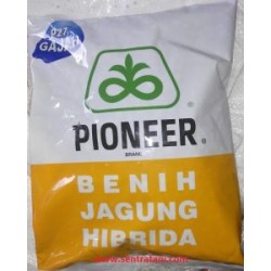 Jagung Hibrida Pioneer 27 Jagung Hibrida Pioneer 27