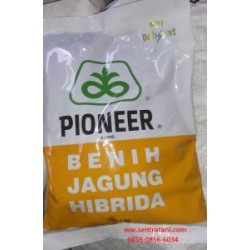 Jagung Hibrida Pioneer 21 Jagung Hibrida Pioneer 21
