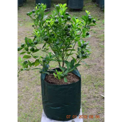 Planter Bag 25 Liter