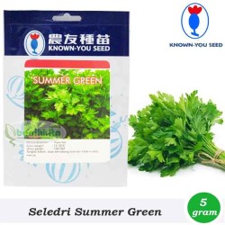 Seledri Summer Green 5 gr Seledri Summer Green 5 gr