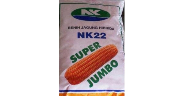 jual benih jagung hibrida nk 22 jual benih jagung hibrida nk 22
