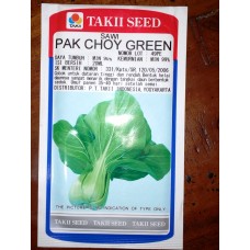 Sawi Pak Choy Green
