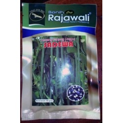 Kacang Panjang SADEWA Kacang Panjang SADEWA