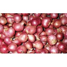 Bawang Merah Umbi Varietas Thailand