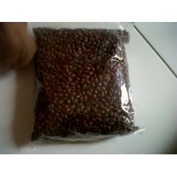 Benih Pohon Trembesi 1kg Benih Pohon Trembesi 1kg