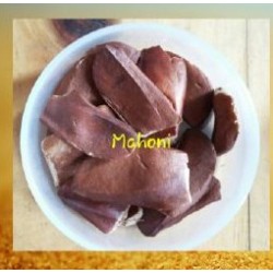 Benih Pohon Mahoni Benih Pohon Mahoni