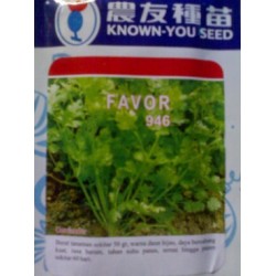 Daun Ketumbar FAVOR 10g Daun Ketumbar FAVOR 10g