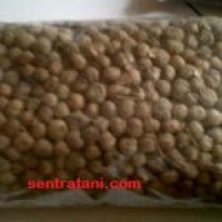 Jati Solomon 1 kg Jati Solomon 1 kg