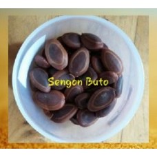Sengon Buto (Enterolobium cyclocarpum)