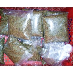 Sengon Laut 100 gram