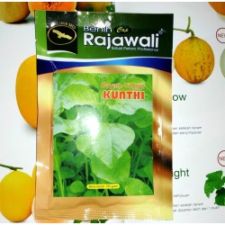 Bayam Unggul KUNTHI Bayam Unggul KUNTHI