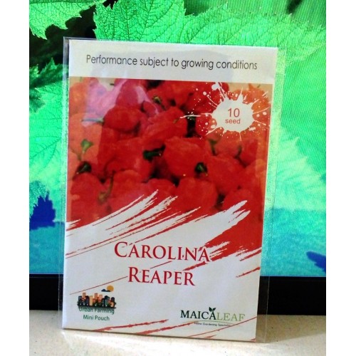 jual benih cabe carolina reaper pepper jual benih cabe carolina reaper pepper