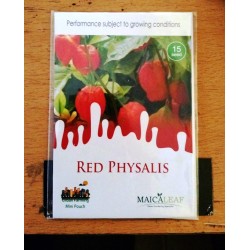 Ciplukan Merah Maicaleaf Red Physalis 15s 