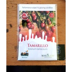 Terong Belanda Maicaleaf - TAMARILLO Terong Belanda Maicaleaf - TAMARILLO
