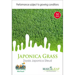 Bibit Rumput Jepang - Maica Leaf Zoysia Japonica 50s