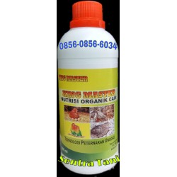 King Master Unggas Petelur - Pengganti AGP King Master Unggas Petelur - Pengganti AGP