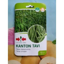 Kacang Panjang Kanton Tavi 150s Kacang Panjang Kanton Tavi 150s