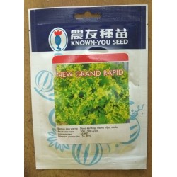 Selada New Grand Rapid 10g Selada New Grand Rapid 10g